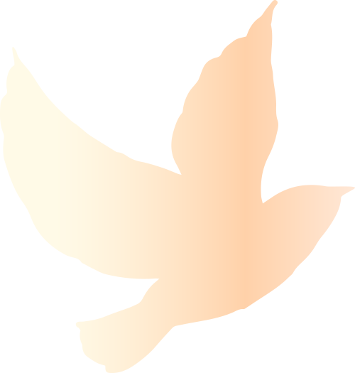 210718ppd1nq6ccqhxvrrs.png