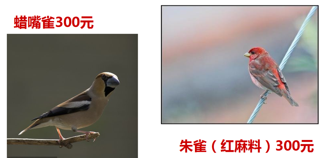 210719biibyrtfjmlnfqgz.png