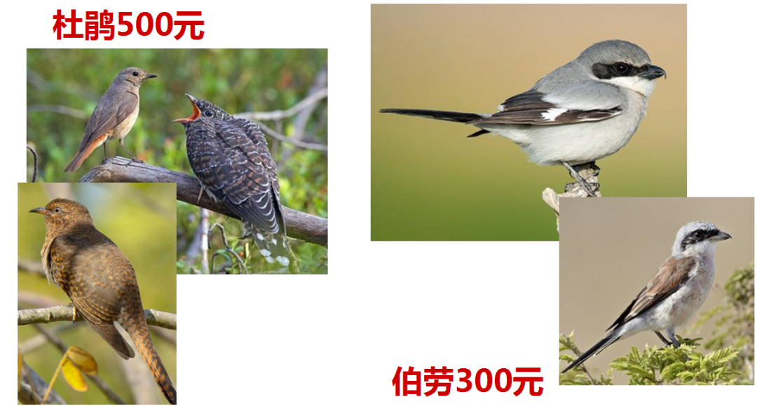 210719gs2si7hg207rsvz0.png