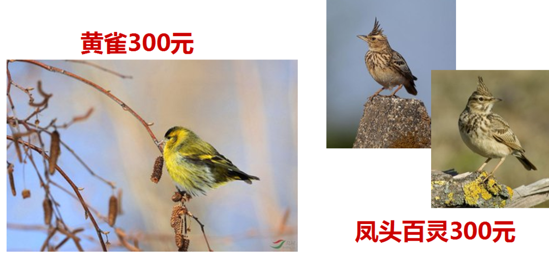 210719iq1f9if9vh8hi0ve.png