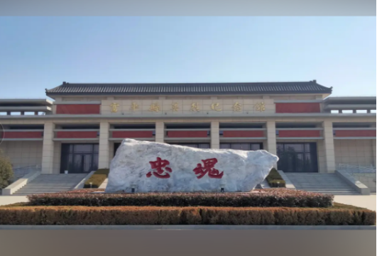 211003f62nanp62p8ppcao.png