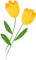 162928p6jl2t65n2flm361.png